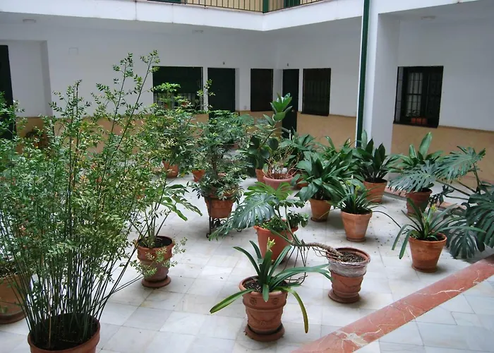 Apartment El Rincon De Aurora